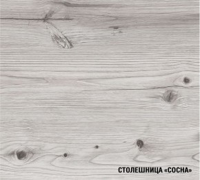 АСАЯ Кухонный гарнитур Экстра 2 (3000 мм) ПМ в Лысьве - lysva.ok-mebel.com | фото 8