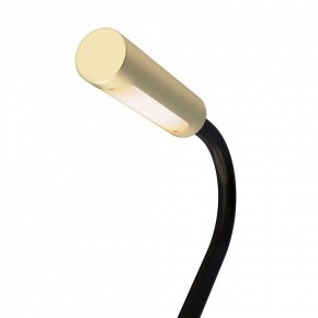 Бра Maytoni Stem C035WL-L3MG3K в Лысьве - lysva.ok-mebel.com | фото 6