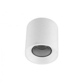 DK3090-WH+CH Светильник накладной IP 20, 10 Вт, GU5.3, LED, белый/хром, пластик в Лысьве - lysva.ok-mebel.com | фото