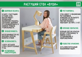 Комплект растущий стол и стул 38 попугаев «Вуди» (Серый, Без покрытия) в Лысьве - lysva.ok-mebel.com | фото 3