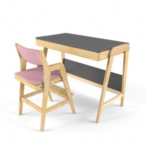 Комплект растущий стол и стул с чехлом 38 попугаев «Вуди» (Серый, Береза, Розовый) в Лысьве - lysva.ok-mebel.com | фото