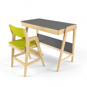 Комплект растущий стол и стул с чехлом 38 попугаев «Вуди» (Серый, Без покрытия, Грин) в Лысьве - lysva.ok-mebel.com | фото