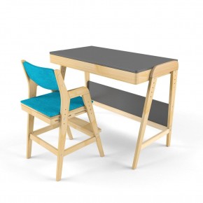 Комплект растущий стол и стул с чехлом 38 попугаев «Вуди» (Серый, Без покрытия, Лазурь) в Лысьве - lysva.ok-mebel.com | фото