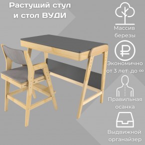 Комплект растущий стол и стул с чехлом 38 попугаев «Вуди» (Серый, Без покрытия, Серый) в Лысьве - lysva.ok-mebel.com | фото