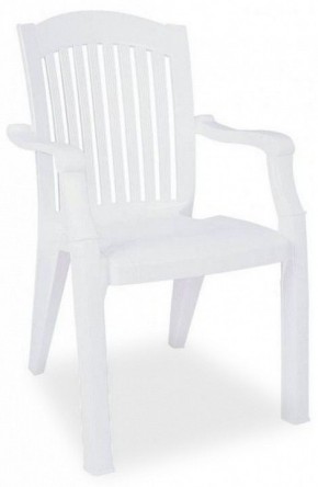 Кресло Classic в Лысьве - lysva.ok-mebel.com | фото