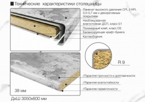 Кухонный фартук со столешницей (А-03) в едином стиле (3050 мм) в Лысьве - lysva.ok-mebel.com | фото 6