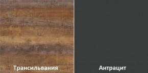 Кухонный гарнитур угловой Трансильвания 2600х1600 мм (Стол. 38 мм) в Лысьве - lysva.ok-mebel.com | фото 3