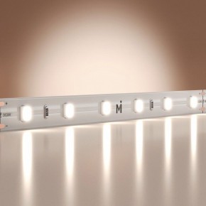 Лента светодиодная Maytoni Base 201167 в Лысьве - lysva.ok-mebel.com | фото