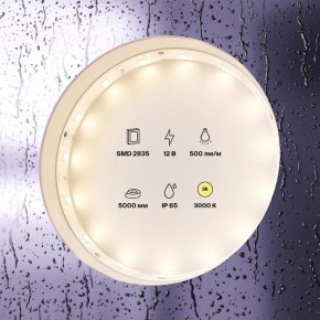 Лента светодиодная Maytoni Led strip 10105 в Лысьве - lysva.ok-mebel.com | фото 2