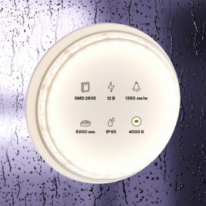 Лента светодиодная Maytoni Led strip 10118 в Лысьве - lysva.ok-mebel.com | фото 2