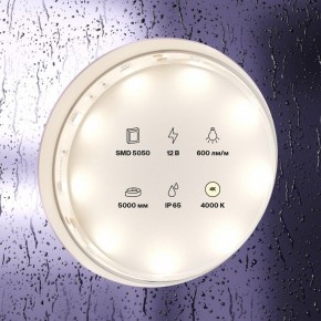 Лента светодиодная Maytoni Led strip 10124 в Лысьве - lysva.ok-mebel.com | фото 2