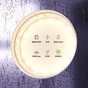 Лента светодиодная Maytoni Led strip 10131 в Лысьве - lysva.ok-mebel.com | фото 2
