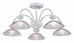 Люстра на штанге Arti Lampadari Noventa Noventa E 1.1.5 W в Лысьве - lysva.ok-mebel.com | фото
