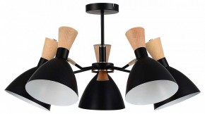 Люстра на штанге EVOLUCE VISTA SLE1256-402-05 в Лысьве - lysva.ok-mebel.com | фото