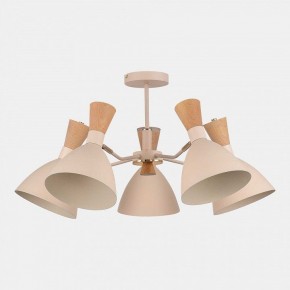 Люстра на штанге EVOLUCE VISTA SLE1256-502-05 в Лысьве - lysva.ok-mebel.com | фото 4