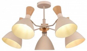Люстра на штанге EVOLUCE VISTA SLE1256-502-05 в Лысьве - lysva.ok-mebel.com | фото 6