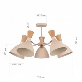 Люстра на штанге EVOLUCE VISTA SLE1256-502-05 в Лысьве - lysva.ok-mebel.com | фото 8