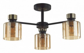Люстра на штанге Lumion ARLIN 5643/3C в Лысьве - lysva.ok-mebel.com | фото
