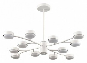 Люстра на штанге Lumion TORINA 8265/12 в Лысьве - lysva.ok-mebel.com | фото