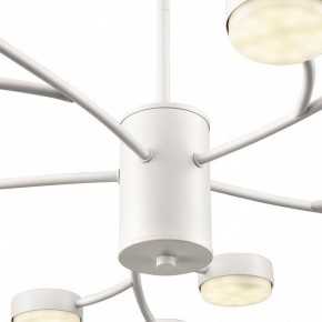 Люстра на штанге Lumion TORINA 8265/15 в Лысьве - lysva.ok-mebel.com | фото 8