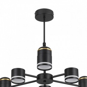 Люстра на штанге Lumion Virsava 8234/6C в Лысьве - lysva.ok-mebel.com | фото 5