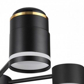 Люстра на штанге Lumion Virsava 8234/6C в Лысьве - lysva.ok-mebel.com | фото 8