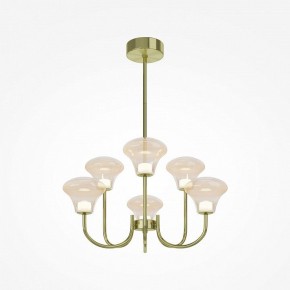 Люстра на штанге Maytoni Dynasty MOD402PL-L20BS3K в Лысьве - lysva.ok-mebel.com | фото 2