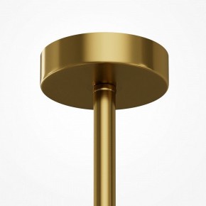 Люстра на штанге Maytoni Museo MOD436PL-05BS в Лысьве - lysva.ok-mebel.com | фото 6