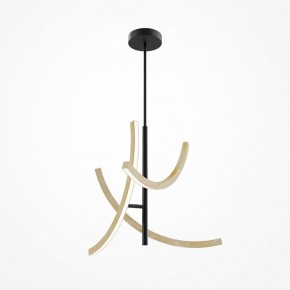 Люстра на штанге Maytoni Wabi MOD428PL-L27BK в Лысьве - lysva.ok-mebel.com | фото 5