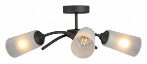 Люстра на штанге Vitaluce V2850 V2850-1/3PL в Лысьве - lysva.ok-mebel.com | фото