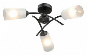 Люстра на штанге Vitaluce V2850 V2850-1/3PL в Лысьве - lysva.ok-mebel.com | фото 2