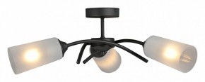 Люстра на штанге Vitaluce V2850 V2850-1/3PL в Лысьве - lysva.ok-mebel.com | фото 3