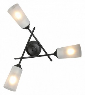 Люстра на штанге Vitaluce V2850 V2850-1/3PL в Лысьве - lysva.ok-mebel.com | фото 4