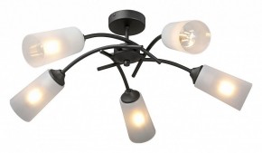 Люстра на штанге Vitaluce V2850 V2850-1/5PL в Лысьве - lysva.ok-mebel.com | фото 2