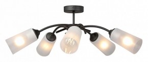 Люстра на штанге Vitaluce V2850 V2850-1/5PL в Лысьве - lysva.ok-mebel.com | фото 3
