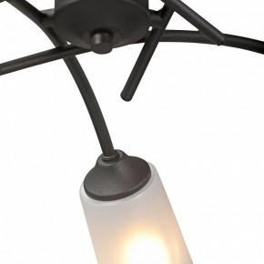 Люстра на штанге Vitaluce V2850 V2850-1/5PL в Лысьве - lysva.ok-mebel.com | фото 6