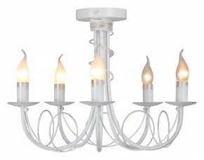Люстра на штанге Vitaluce V3035 V3035-0/5PL в Лысьве - lysva.ok-mebel.com | фото 2