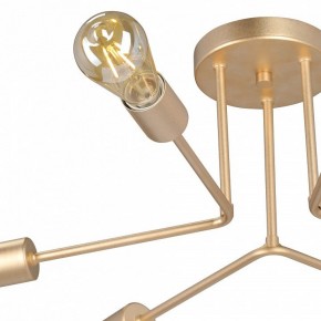 Люстра на штанге Vitaluce V3071 V3071-8/6PL в Лысьве - lysva.ok-mebel.com | фото 6