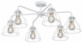 Люстра на штанге Vitaluce V3102 V3102-0/6PL в Лысьве - lysva.ok-mebel.com | фото