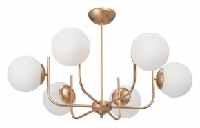 Люстра на штанге Vitaluce V39570 V39570-8/6PL в Лысьве - lysva.ok-mebel.com | фото 2