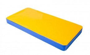 Мат гимнастический 1х0,5х0,08м цв. синий-желтый в Лысьве - lysva.ok-mebel.com | фото