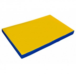 Мат гимнастический, прямоугольный. Длина 2 м, ширина 1 м, толщина 5 см синий-желтый   в Лысьве - lysva.ok-mebel.com | фото