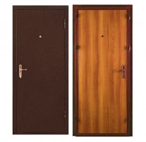 Металлическая дверь СПЕЦ ПРО (МЕТАЛЛ-ПАНЕЛЬ) 2060*860/ЛЕВАЯ в Лысьве - lysva.ok-mebel.com | фото
