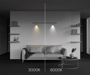 Модульный светильник Maytoni Focus LED C102CL-3W3-6K-BS в Лысьве - lysva.ok-mebel.com | фото 4