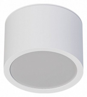Накладной светильник Arte Lamp Intercrus A5543PL-1WH в Лысьве - lysva.ok-mebel.com | фото 1
