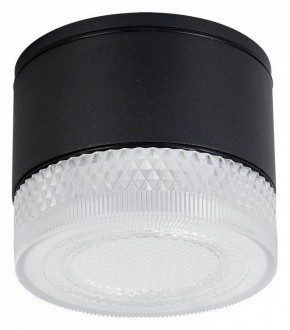Накладной светильник Arte Lamp Piautos A1926PF-1BK в Лысьве - lysva.ok-mebel.com | фото