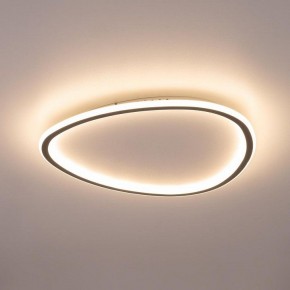 Накладной светильник Citilux ТRIO CL215B251E в Лысьве - lysva.ok-mebel.com | фото 9