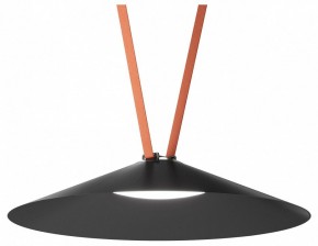 Накладной светильник Denkirs Belty Flow DK5568-BK в Лысьве - lysva.ok-mebel.com | фото 2