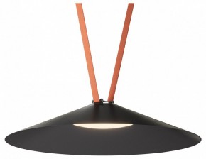 Накладной светильник Denkirs Belty Flow DK5569-BK в Лысьве - lysva.ok-mebel.com | фото 2
