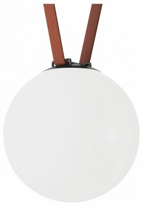 Накладной светильник Denkirs Belty Orb DK5554-BK в Лысьве - lysva.ok-mebel.com | фото